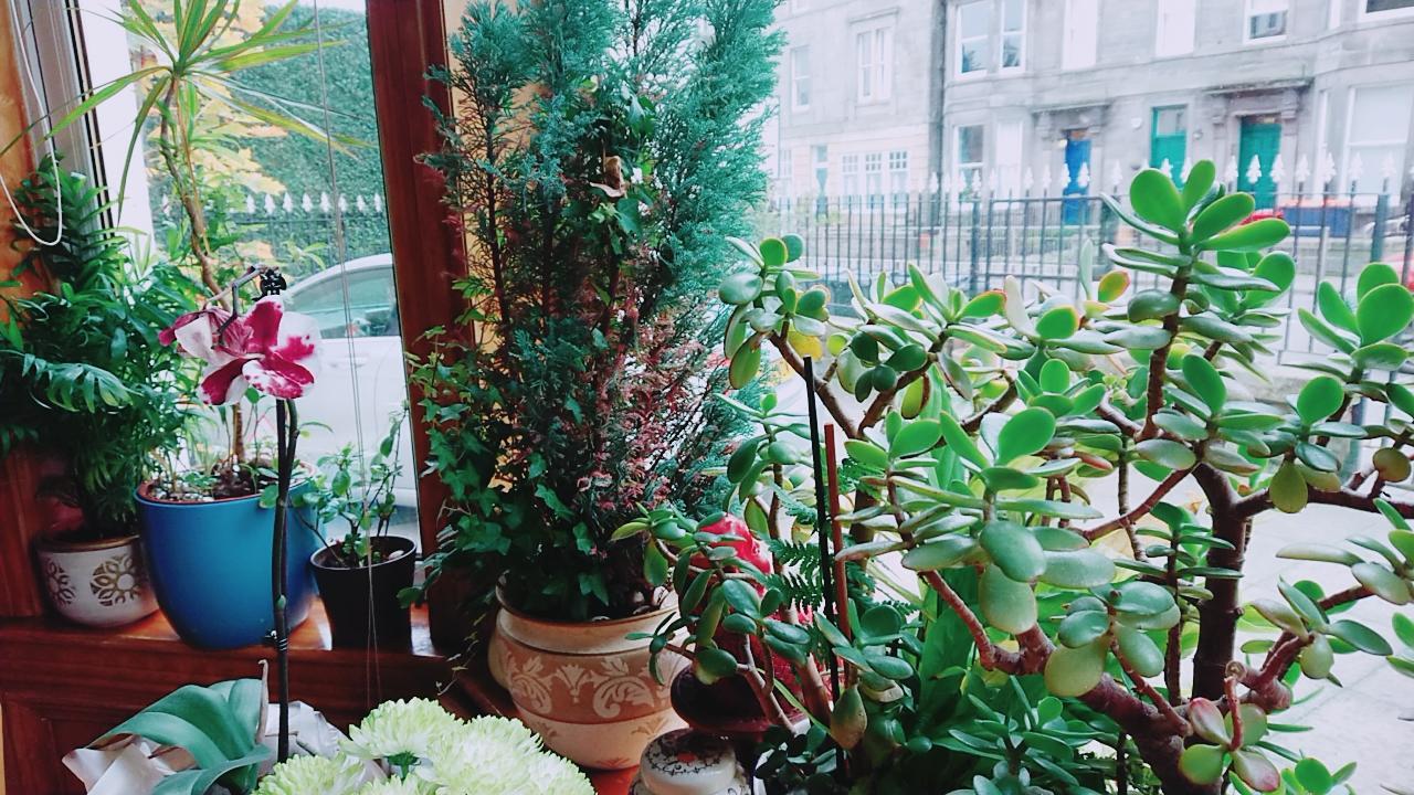 Swan Lake Guest House Edinburgh Luaran gambar